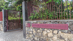 Jardín Botánico Antonio Borges – Ponta Delgada – Isla de San Miguel – Azores