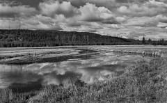 Landscapes in Black and White 2