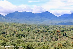 Paisagens, Landscapes of Central America 
