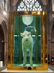ARK Exhibition - Chester Cathedral