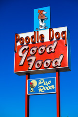 Poodle Dog Good Food