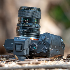 Canon nFD 50mm ƒ/3.5 Macro