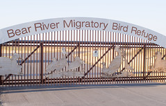 Bear River Migratory Bird Refuge