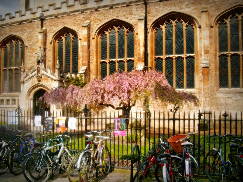Bicycle friendly Cambridge. Credit Oscar Arky
