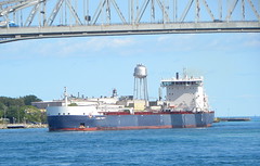 Ships: Algoma Central Corp.