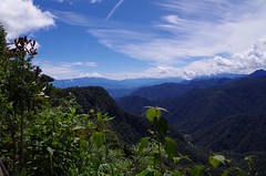 2017 Ecuador - cloud forest