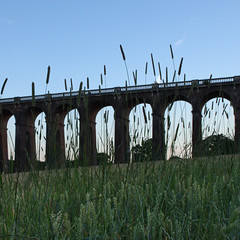 Ouse Valley Viaduct 2017-07-07