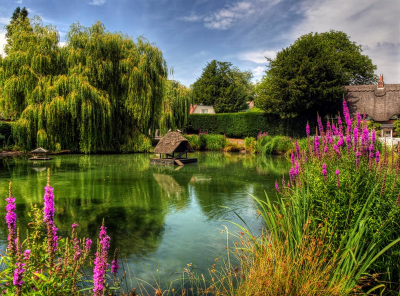 The Duckpond at Crawley, near Winchester. Credit Neil Howard, flickr