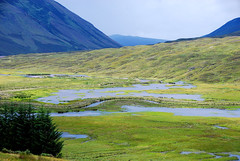 Ecosse - Glen Affric & Loch Ness