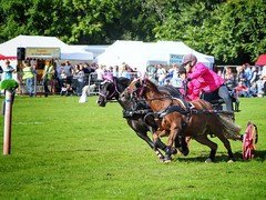 Bowood Country Show 2017