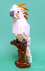 LEGO Cockatoo Parrot