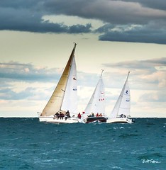 Sailing 150