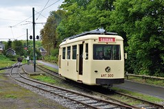 Trams in België
