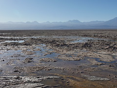 Chile 03 Lagunas de Atacama Salar de Atacama