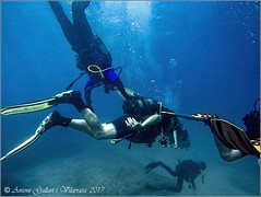 Scuba diving (Submarinisme)