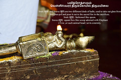 2017 - Pavitrotsavam - Velleeswarar Temple