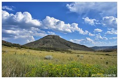 Red Mountain Open Space