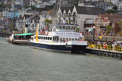 Cruise on the the  River Dart
