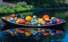 CHIHULY EXHIBIT NYBG 2017