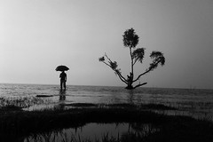 Life Around Bay of Bengal 