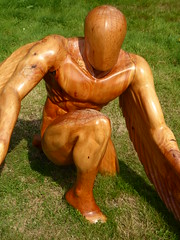 Sculptures in wood