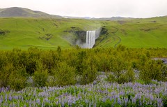 Skógafoss waterfall - Iceland (June 2017)