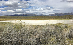 Eastern Sierra Nevada