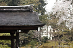 Part of Kinkaku-ji Temple & The Gardens Behind