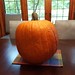 my massive pumpkin