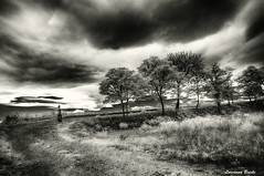 black and white landscapes