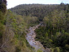 Tasmanien 2007,  Douglas Apsley NP