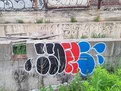 Abandoned 785 Mill St. Graffiti
