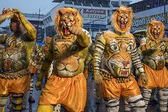 Dance of Tigers- "Pulikali"