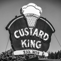 Custard King City