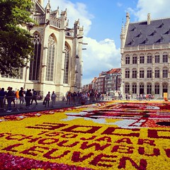 Bloementapijt Leuven - Flowercarpet Louvain (02/09/2017)
