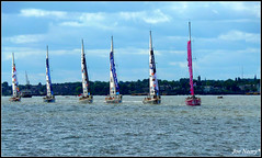 Global Sailing Race