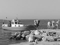 Fishermen (pro)