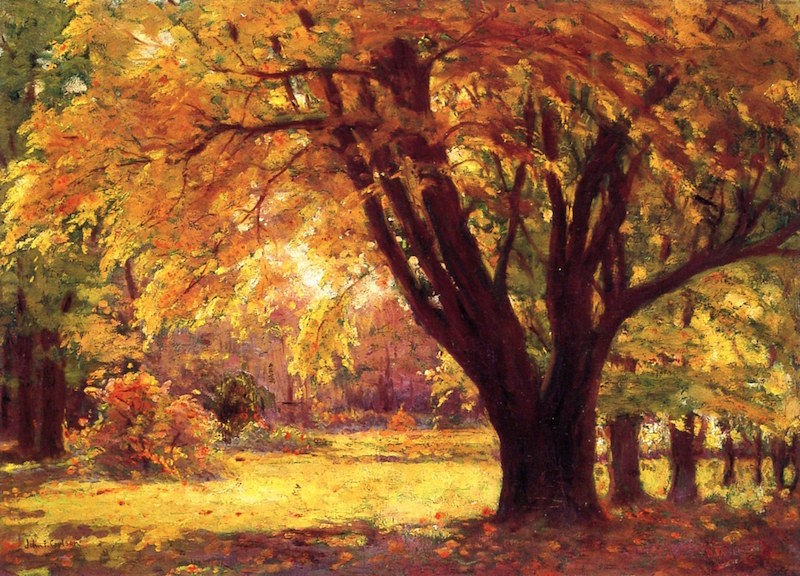 Autumn Sunlight by John F. Carlson (1875 - 1945)