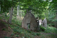 Ruševine cerkvice Sv. Miklavža, Notranjska