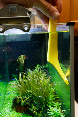 cleaning aquarium glass with hardware store blade holder