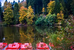 Herbst: Ebnisee 2017