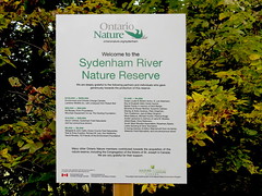 Sydenham River Nature Reserve
