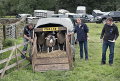 Moorcock Show, North Yorkshire, 2017