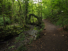 Whiteley Woods Trail