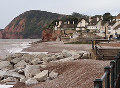 Sidmouth 2017