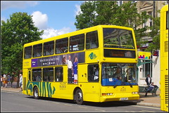 Yellow Buses