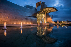 The Guggenheim Museum Bilbao