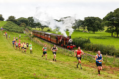 Race the Train