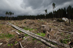 Finnish Clearcuttings - Creative Commons Attribution