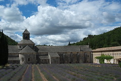 Sénanque Abbey, France